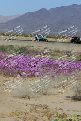 media/Feb-04-2023-SoCal Trackdays (Sat) [[8a776bf2c3]]/Turn 15 Inside Blooming (1050am)/